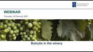 Managing Botrytis in the winery