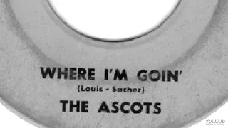 The Ascots - Where I'm Goin'  (José Feliciano Cover)