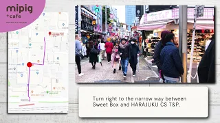 How to get to mipig cafe Harajuku