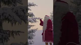 Santa's Forest: magical place of Christmas trees of Father Christmas in Santa Claus Village #shorts