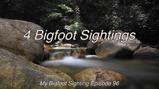 4 Bigfoot Sightings - My Bigfoot Sighting Episode 96