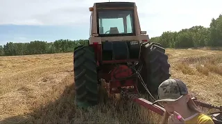 Case 1270, ih 914 combines 2 row barley wirh jd7700