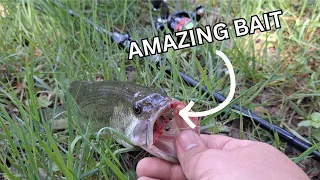 YOU will have a lot of fun fishing like THIS!