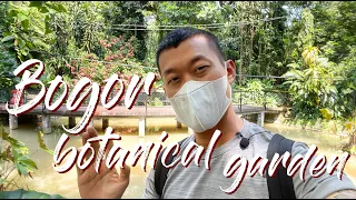 Indonesia's Largest Oldest Botanical Garden (Kebun Raya Bogor) Tour And Review