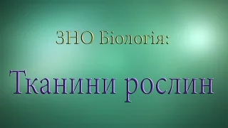 ЗНО Біологія  Тканини рослин