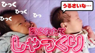 【双子の赤ちゃん】新生児のシャックリ