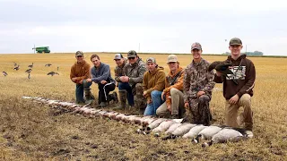 North Dakota Rare Black Duck Hunt! (8 Man Limit)