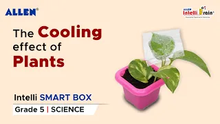 ALLEN Intelli SMART Box| How do plants help us beat the heat| Science Activity Kit for Grade 5