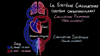 Le système circulatoire - Introduction