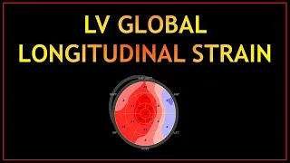 Global Longitudinal Strain (GLS - PART 1)