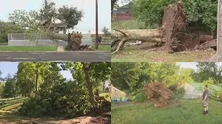 St. Louis area under severe thunderstorm watch Wednesday morning