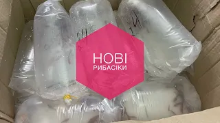 Загострення захворювання 🦠 знову рибка 🐠 навіть у свято! Христос Воскрес!!!