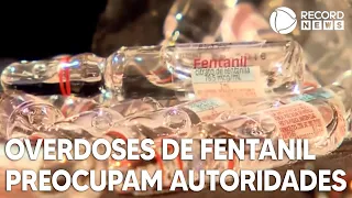 Overdoses de fentanil preocupam autoridades nos Estados Unidos