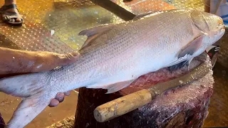 BIG RAWAS FISH CUTTING SKILLS In Fish Market | Amazing Fish Fish Cutting Skills