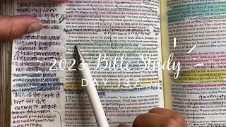 Study the Bible in One Year: Day 137 2 Samuel 16-18