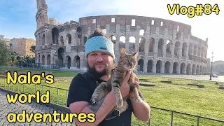 Nala exploring ROME & the VATICAN 😻🇮🇹 VLOG#84