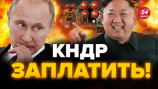 ⚡️Жорстка РЕАКЦІЯ БРИТАНІЇ на зброю для Путіна від КНДР / Маєте це почути