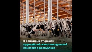 В Башкирии открылся крупнейший животноводческий комплекс в республике