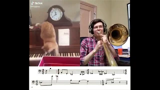 Piano Cat - Transcription