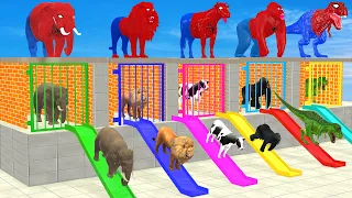 Long Slide Game With Elephant Cow Lion Gorilla 3d Animal Game Funny 3d Animals Cage Game