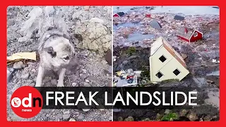 Dog Rescued By Helicopter After Massive Landslide Sweeps Homes into Sea in Norway