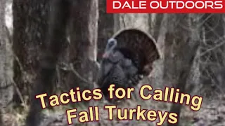 Tactics For Calling for Fall Turkeys