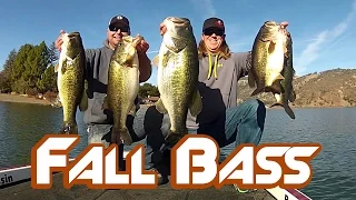 Bass Fishing: How to Catch BIG Bass in Fall