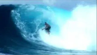 KELLY SLATER DANGER SHARK