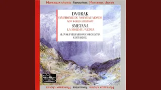 Symphonie n°9 en mi mineur, Op. 95 du nouveau monde : Molto vivace