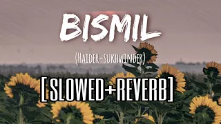 Bismil | Haider | Slowed+Reverb | Sukhwinder Singh