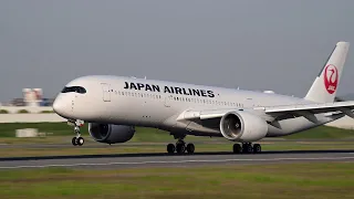 2024/05/17 伊丹空港 飛行機離着陸 - Plane spotting at Osaka Intl Airport.