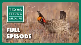 PBS Show - Song of the Prairie, Angler Access & Hueco Tanks