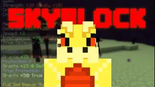 Hypixel SkyBlock Live2