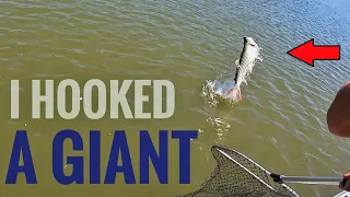 I Hooked a Monster! - Hunt for a Giant Tiger Fish Episode 1