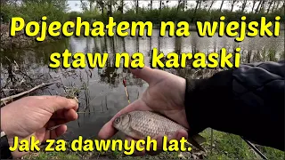 Karaski z wiejskiego stawu jak za dawnych lat