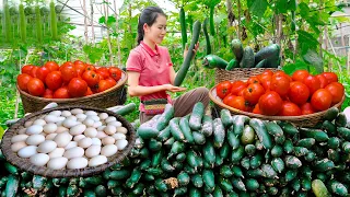 168 Days Harvesting Tomato-Chicken Eggs-Squash-Melon Fruit-Cucumber Garden goes to the market sell