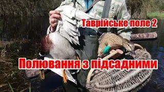 Полювання з підсадними | Таврійське поле 2