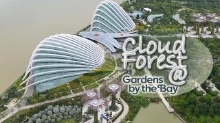 Cloud Forest @ Gardens by the Bay | Singapore