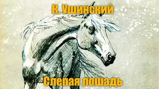 К. Ушинский "Слепая лошадь"