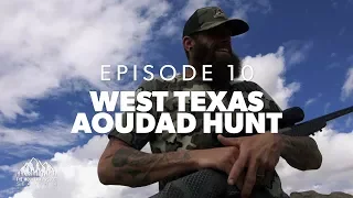 Chase drove all night for this hunt   - Ep.10 - Texas Aoudad Hunt