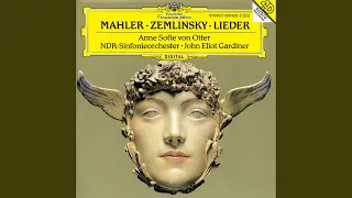 Mahler: Lieder eines fahrenden Gesellen - Die zwei blauen Augen von meinem Schatz