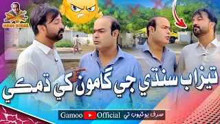 Tezaab Sindhi Ji Gamoo Khe Damki | Asif Pahore (Gamoo) | Hyder Qadri | Gamoo New Video | 2023