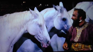 Ben-Hur- Introducing his four white horses