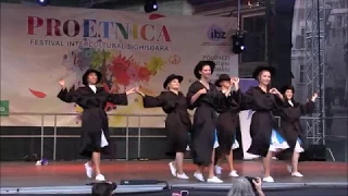 Formația HORA la Sighișoara, ”Pro Etnica”, august 2019