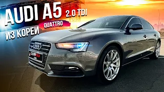 Тест драйв Audi A5 дизель из Кореи. 2.0 Quattro. Битки из Кореи под ключ. Олимп Азия