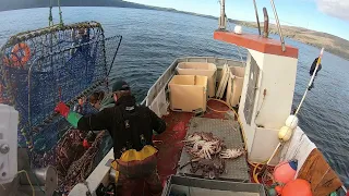 Awesome Catch!! - King Crab Fishing in Northern Norway August 2021