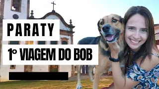 MELHORES DICAS DE VIAGEM A PARATY. Como foi nossa 1ª viagem com nosso pet Bob, o cachorro viajante#1