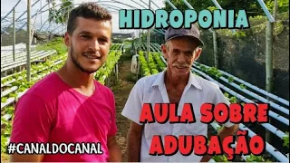 Adubos para HIDROPONIA, todos e suas funções.🥬🤝🤜🤛🤩