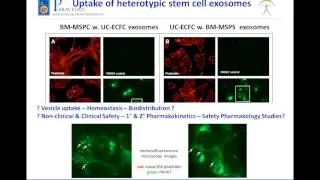 Short Course in Extracellular Vesicles including Exosomes - Session 4 Panel