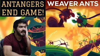 The Warrior Kingdoms of the Weaver Ant (Kurzgesagt – In a Nutshell) CG Reaction